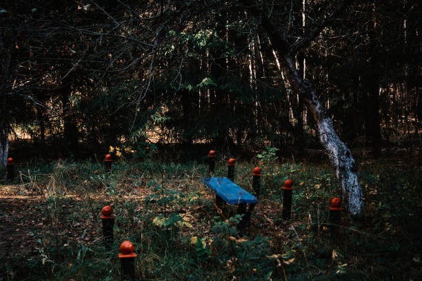 Hidden bench in sunlit wild forest in October