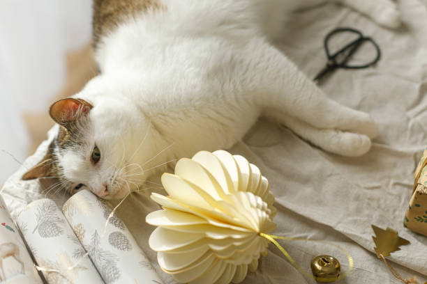 Adorable cat lying at stylish christmas gift and wrapping paper on rustic table with modern ornaments. Merry Christmas! Pets and winter holidays