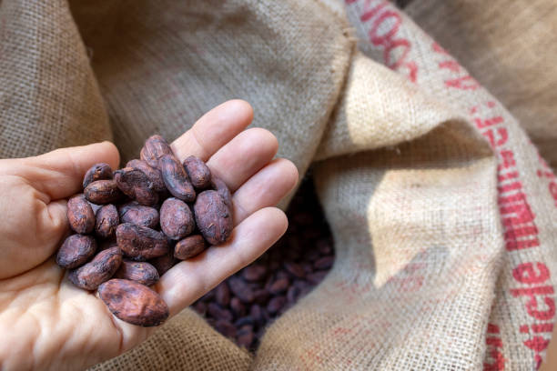 istock Handful of cacao beans in front of sack 2176337904