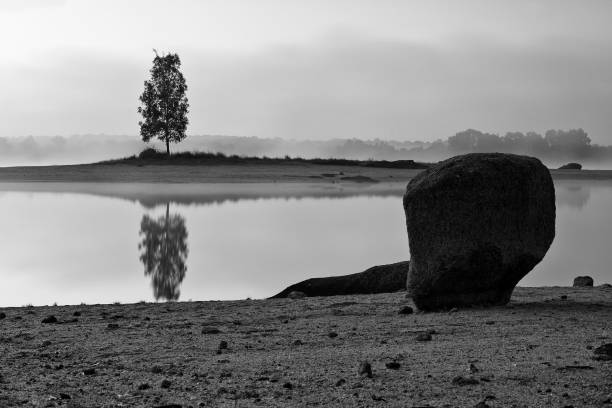 Monochrome photo of a solitary tree reflected in a calm lake with a large rock in the foreground on a misty morning.