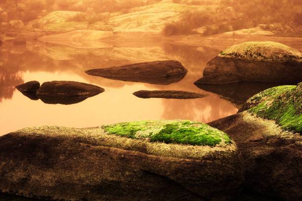 A serene landscape featuring large moss-covered rocks in a calm body of water under a warm, golden light.