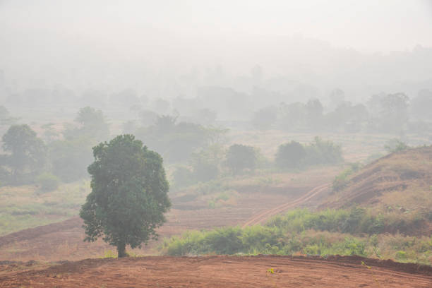 istock Amazing foggy misty landscape 2176343495