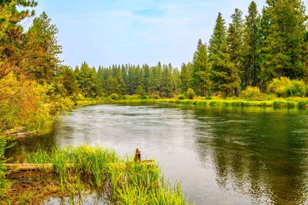 istock THE DESCHUTES RIVER WINDING THROUGH BEND OREGON WITH LUSH GRASS AND PINE TREES WITH A NICE SKY 2176344208