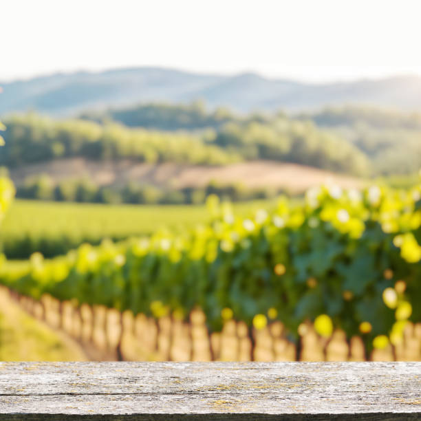 istock An empty wooden table in the foreground with a sunny vineyard in the background 2176344835