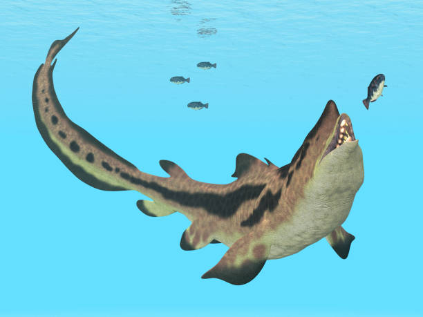 istock Prehistoric shark Edestus on the hunt 2176344893