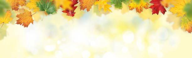 istock Autumn bokeh background featuring vibrant, colorful leaves with ample copy space 2176345821