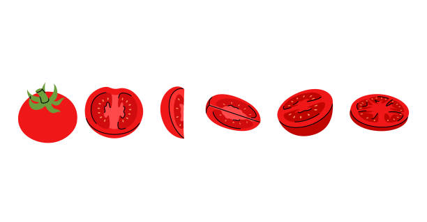 istock Creative vector design of a red tomato, with detailed slices, cut views, and full tomato illustrations for food art 2176352743