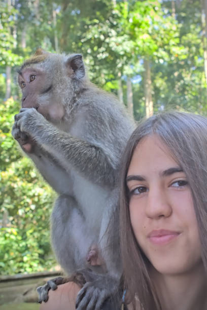 istock Girl with monkey on her shoulder 2176353857