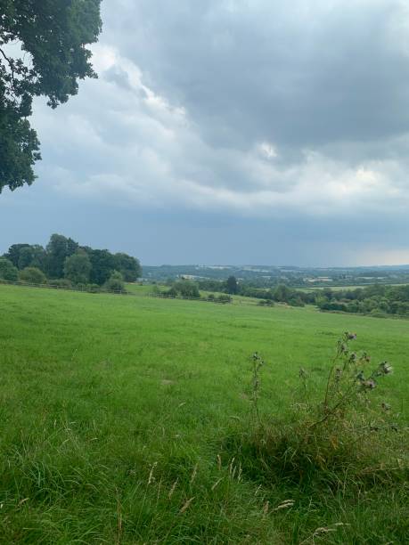 istock Field in the Cotswolds 2176353881
