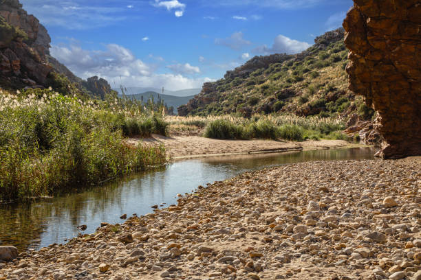 Beautiful stream running through valley surrounded by densely vegetated mountains