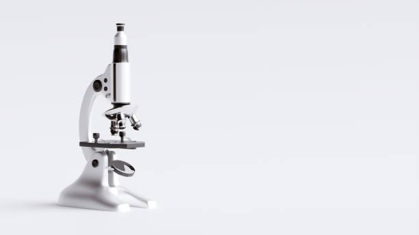 istock A white microscope is sitting on a white surface. The microscope is black and white, and it is the only object in the image 2176356319