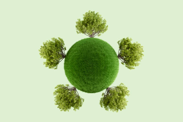 istock Earth globe with green grass and trees, sustainability concept 2176359865