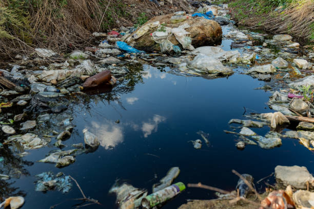 istock A riverbank is heavily littered with plastic waste and debris, showing environmental degradation. The still water reflects clouds, highlighting the contrast between nature and pollution 2176369733