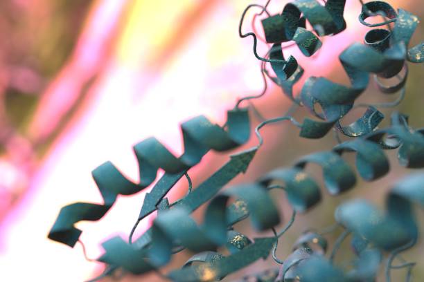 istock Models of protein ribon structure. 
Biology Art. (multicolor) 2176371643