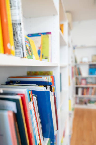 Numerous books stand neatly on shelves in library, offering wide range of knowledge and literature