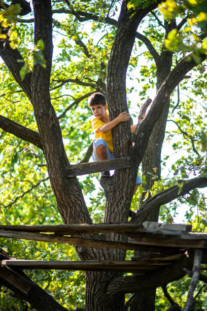istock A child climbs a tree in a city park during the day 2176390157