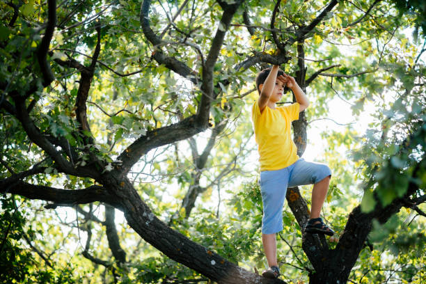 istock A child climbs a tree in a city park during the day 2176390340
