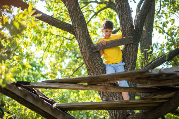 istock A boy climbs a tree in the forest in summer 2176390534