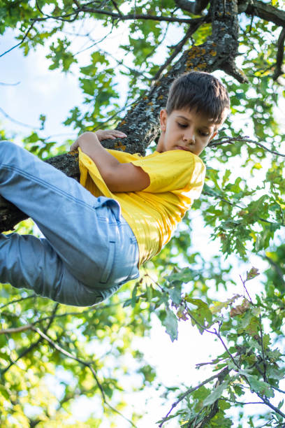 istock A child climbs a tree in a city park during the day 2176390638