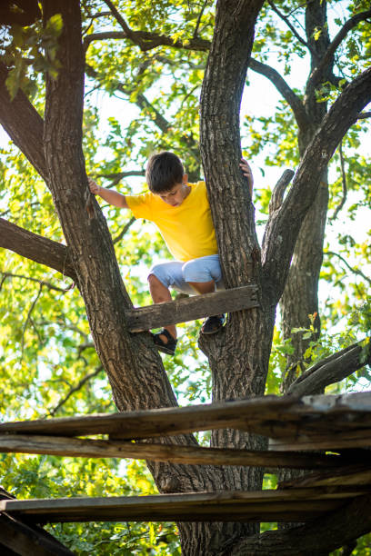 istock A child climbs a tree in a city park during the day 2176391082