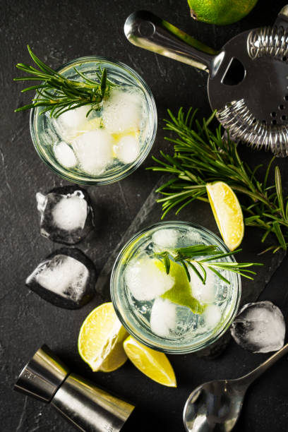 istock Gin tonic with gin, tonic, ice cubes, lime and rosemary. 2176397911