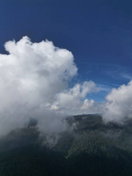 istock Mountain range covered in forest with clouds and blue sky. 2176399560