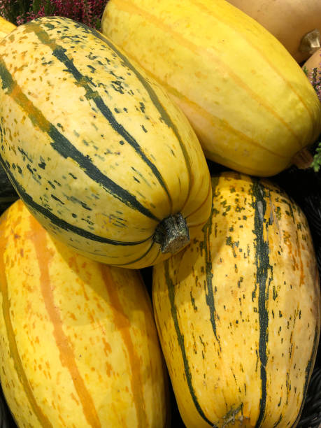 istock Assortation of pumpkins 2176402365