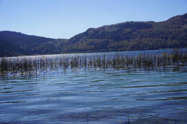 Reichenau Island seen from Allensbach, Lake Constance