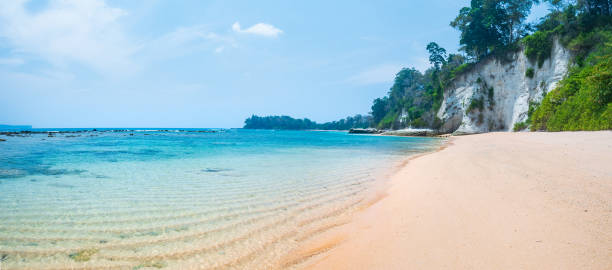 istock Crystal clear water lapping on tropical beach in the andaman islands. Turquoise water lapping gently on a pristine sandy beach with green jungle in the background 2176403773