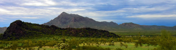 istock After The rain Sonora Desert Arizona Picacho Peak State Park 2176406283