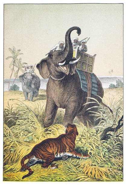 Hand colored engraving - Instructive Recreations for Youth. III. Series. Third Edition. Esslingen. J. F. Schreiber. 1876.