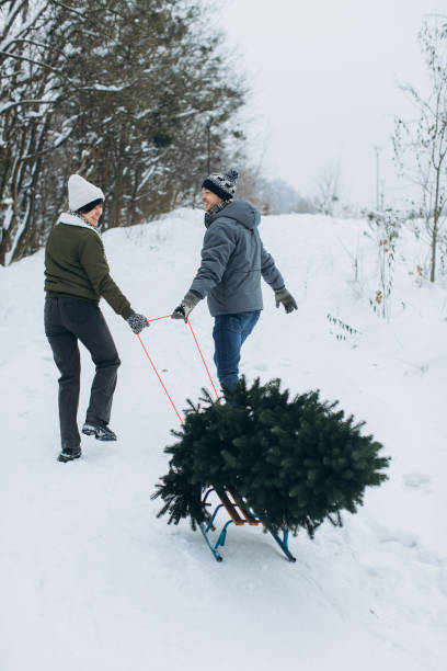 istock A couple carries a Christmas tree on a sleigh. Back view. 2176412840