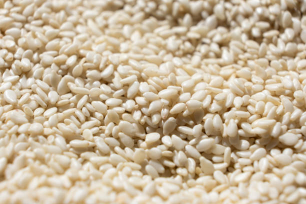 istock Pile of White Roasted Sesame Macro Side View 2176425637