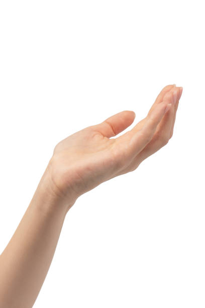 istock Woman hands with nude manicure isolated on a white background. 2176427355