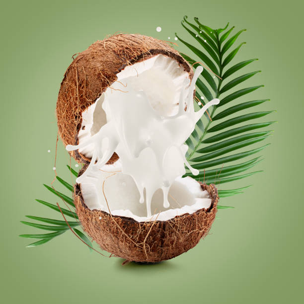 istock coconuts with palm leaves and milk splash on a light green background 2176429357