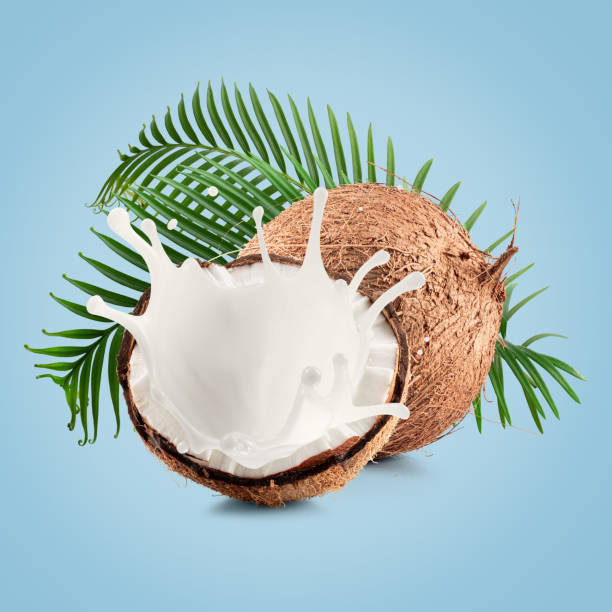 istock coconuts with palm leaves and milk splash on a light blue background 2176431051
