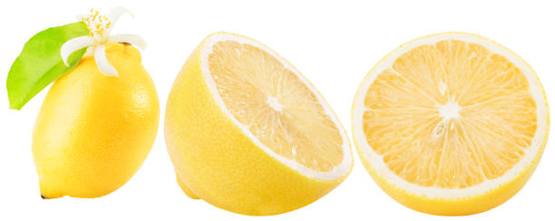 istock set of the lemon with slices isolated on a white background 2176434789