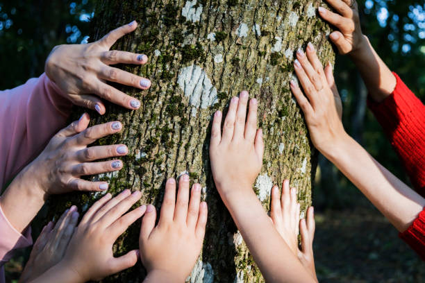istock A diverse group of people is touching a tree with their hands gently 2176437809