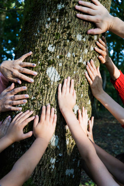 istock A diverse group of people is touching a tree with their hands gently 2176437828