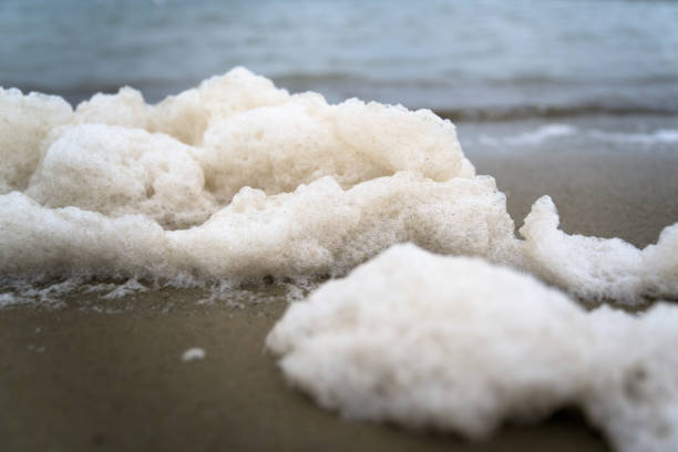 Eutrophication of the sea, Dirty foam on the Black Sea during a storm near the city of Odessa