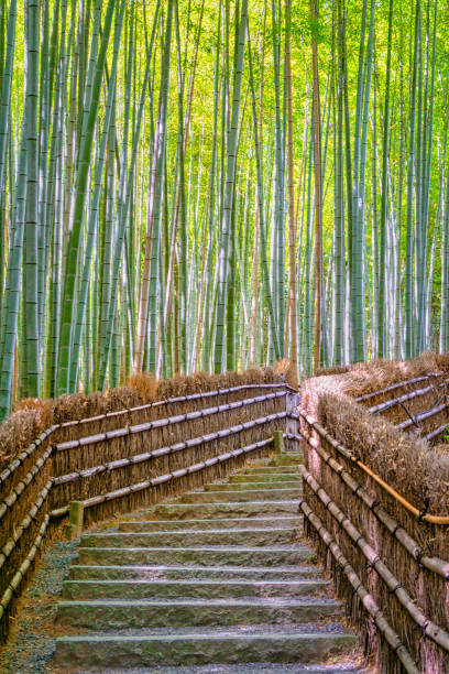 istock Bamboo Forest in Kyoto, Japan. 2176441947