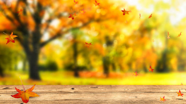 istock fall leaf from amber tree in autumn park landscape with empty wooden table, beautiful nature beer garden backdrop for Beer Fest with space for product or text 2176446746