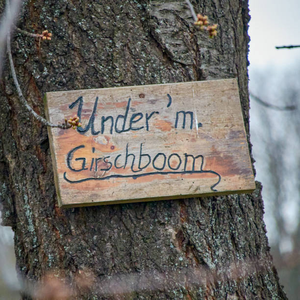 Wooden sign engraved with Saxon dialect writing saying, on which is written, under the cherry tree, square
