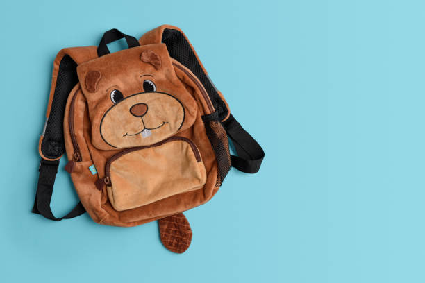 istock Fluffy  backpack shape of beaver with school supplies on blue background. Top view 2176459838