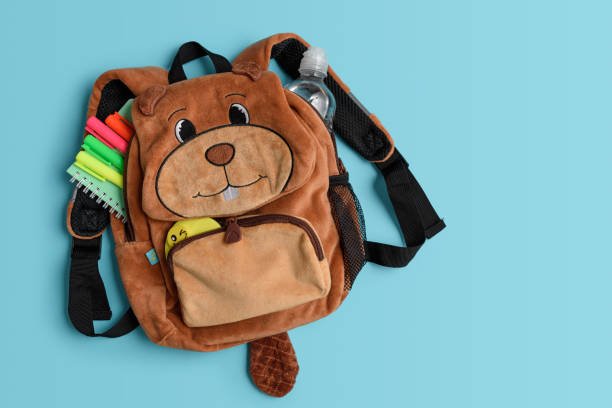 istock Fluffy  backpack shape of beaver with school supplies on blue background. Top view 2176459888