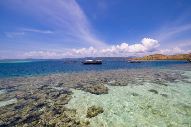 istock coral reefs and ocean floor, indonesia 2176472297