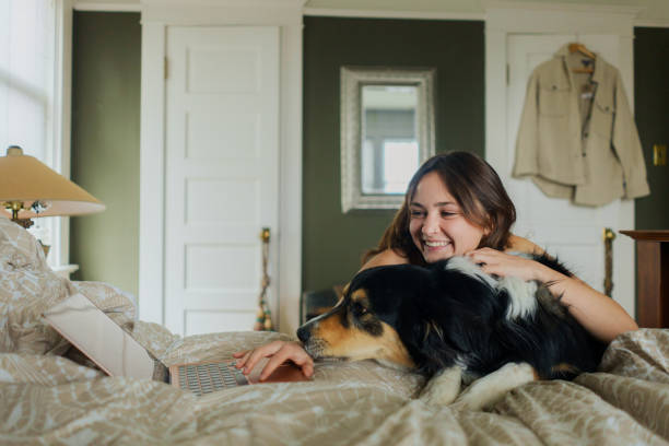 istock Cheerful woman  using laptop while playing with Australian Shepherd at home 2176483248