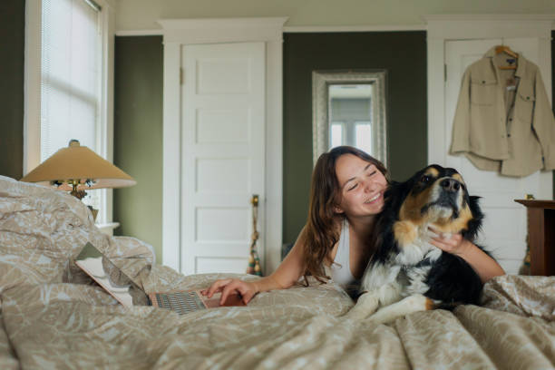 istock Cheerful woman  using laptop while playing with Australian Shepherd at home 2176483280