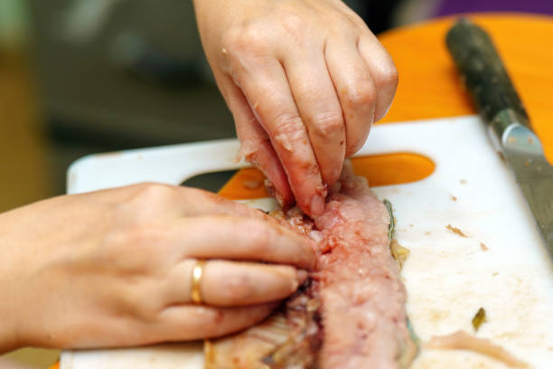 istock Delicate hands expertly extract bones from a fresh fish, transforming it into a beautiful fillet. This artful process showcases the fusion of skill, tradition, and culinary creativity 2176488641