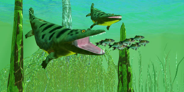 istock Mastodonsaurus Amphibian Hunting 2176493918